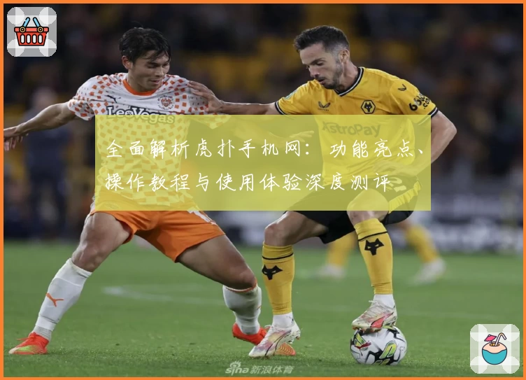 全面解析虎扑手机网：功能亮点、操作教程与使用体验深度测评